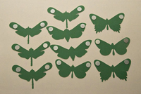 balancing butterflies back with weights balancerende vlinders